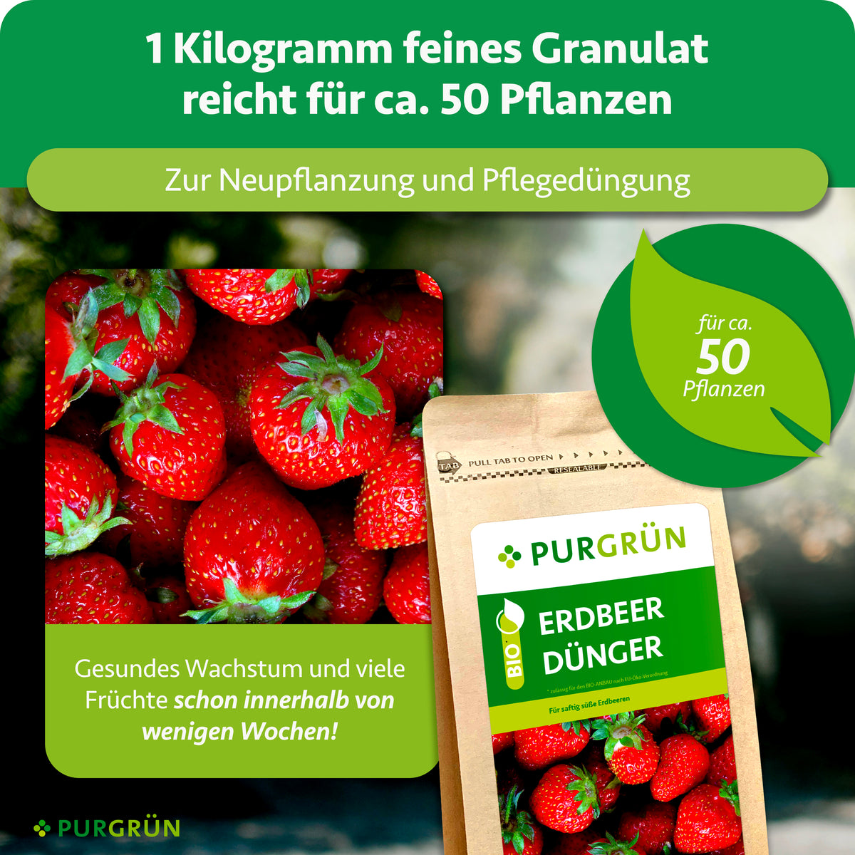 1 kg feines Granulat reicht für ca. 50 Pflanzen und eignet sich zur Neupflanzung und Pflegedüngung.