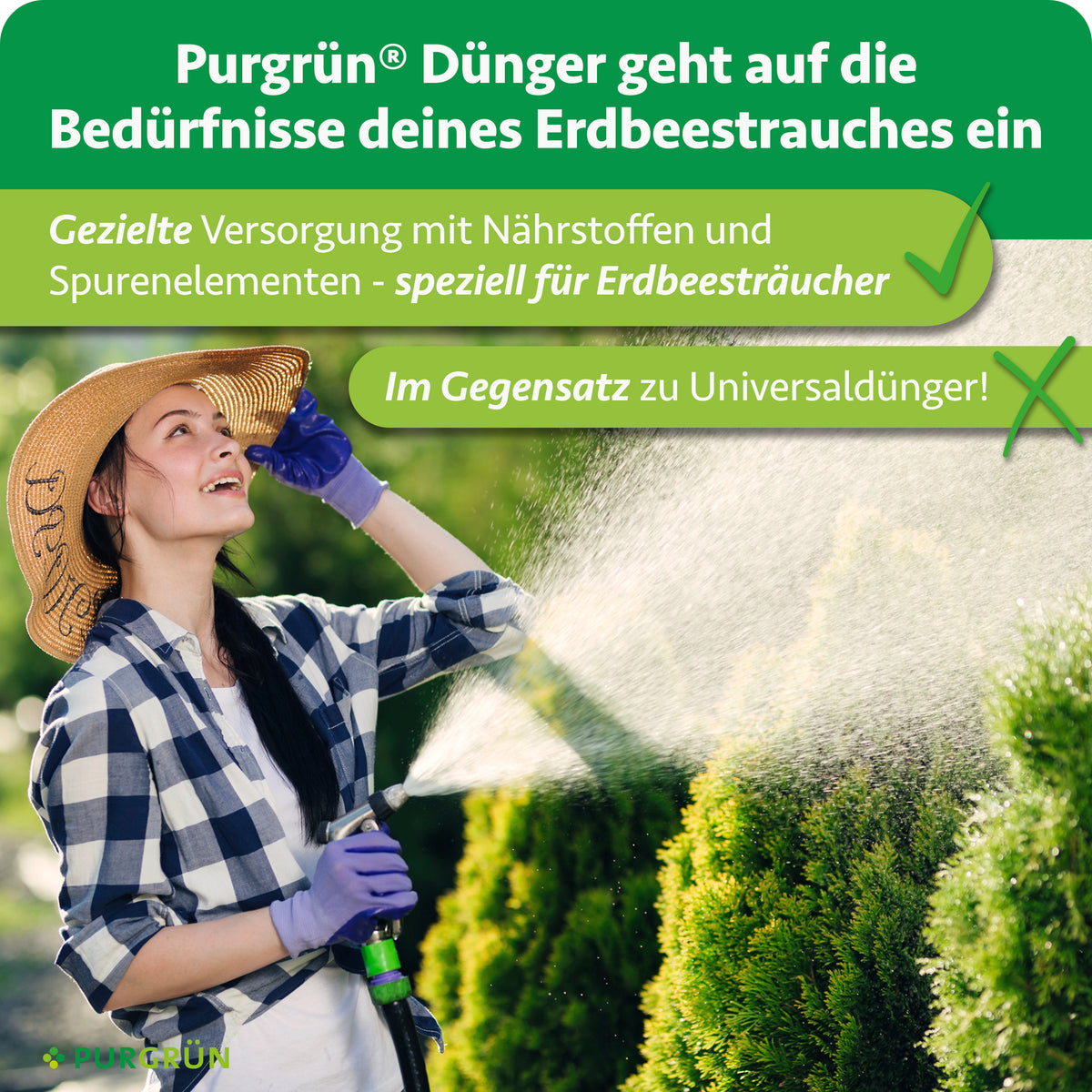 Purgrün-Dünger versorgt Erdbeersträucher gezielt mit Nährstoffen und Spurenelementen – im Gegensatz zu Universaldünger.