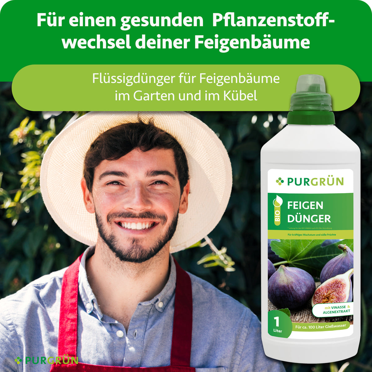 Flüssigdünger für Feigenbäume im Garten und Kübel, dargestellt neben einem lächelnden Gärtner.