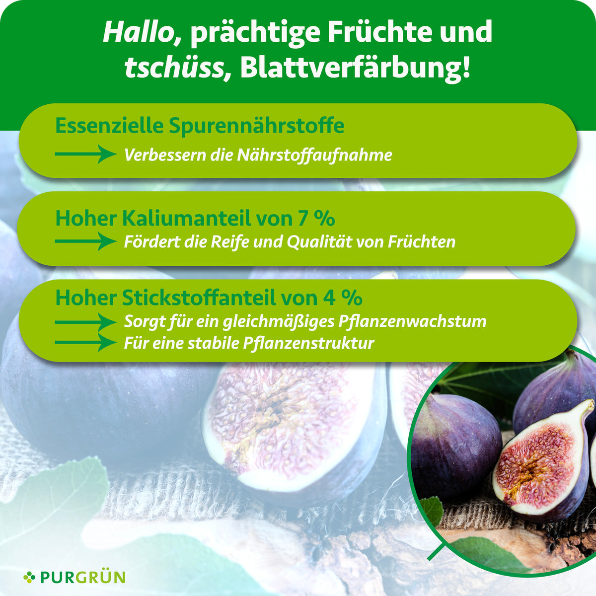 Essenzielle Spurennährstoffe verbessern die Nährstoffaufnahme; 7 % Kalium fördern Reife und Fruchtqualität, 4 % Stickstoff gleichmäßiges Wachstum und eine stabile Pflanzenstruktur.