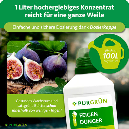 1 Liter Konzentrat mit Dosierkappe reicht für bis zu 100 Liter Gießwasser und soll innerhalb weniger Tage gesundes Wachstum und sattgrüne Blätter fördern.