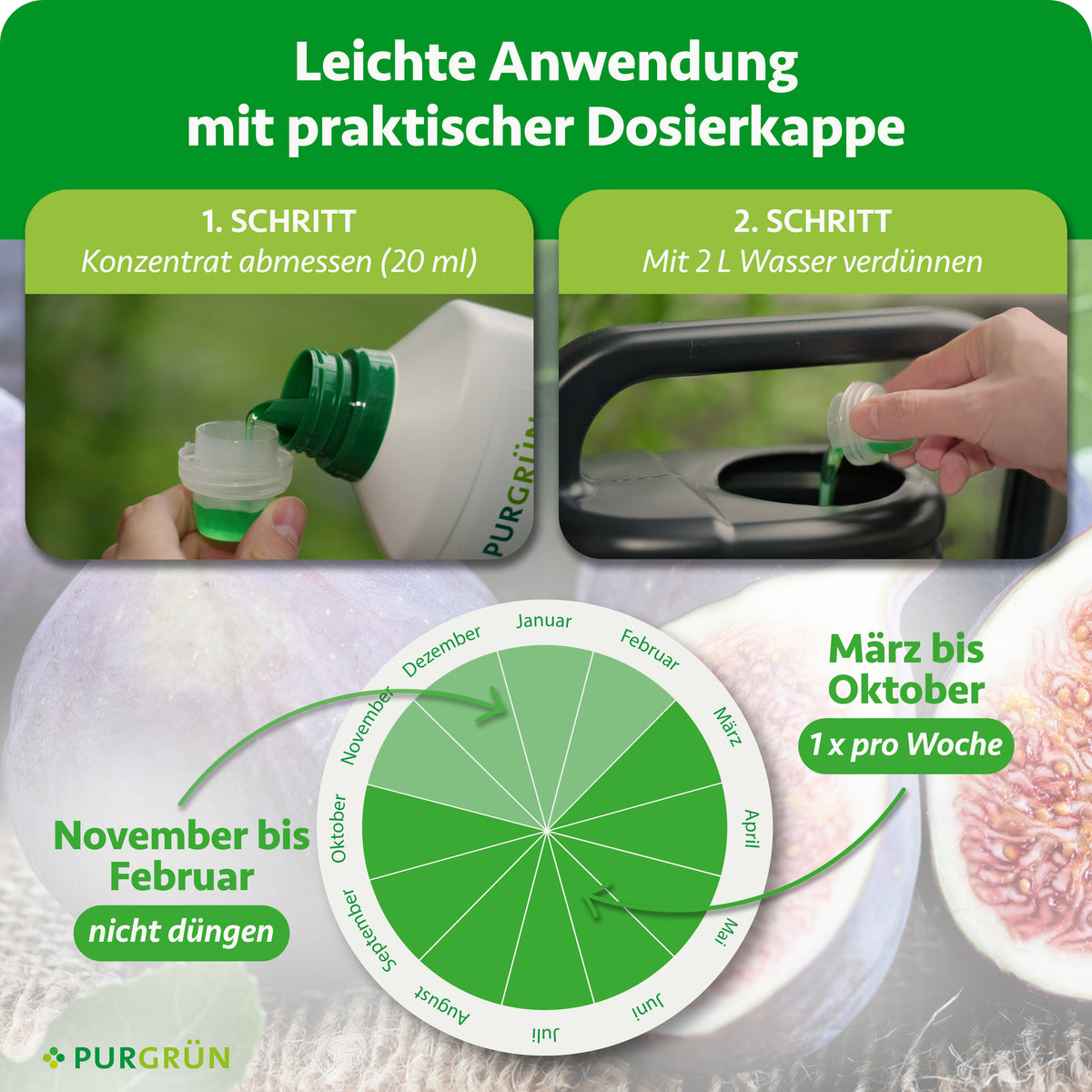 Anwendung: 20 ml Konzentrat mit 2 Litern Wasser verdünnen. Von März bis Oktober einmal wöchentlich düngen, von November bis Februar nicht düngen.