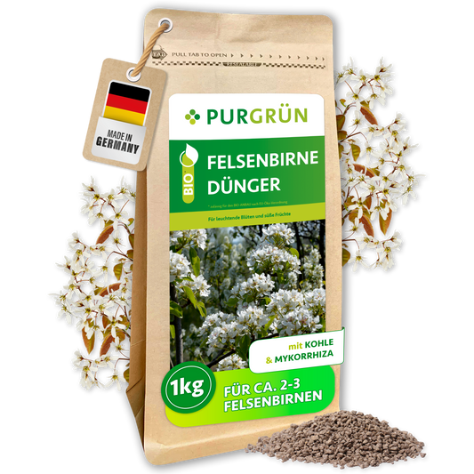 Purgrün Bio-Felsenbirne-Dünger im 1-kg-Beutel mit Kohle und Mykorrhiza, ausreichend für ca. 2–3 Felsenbirnen.