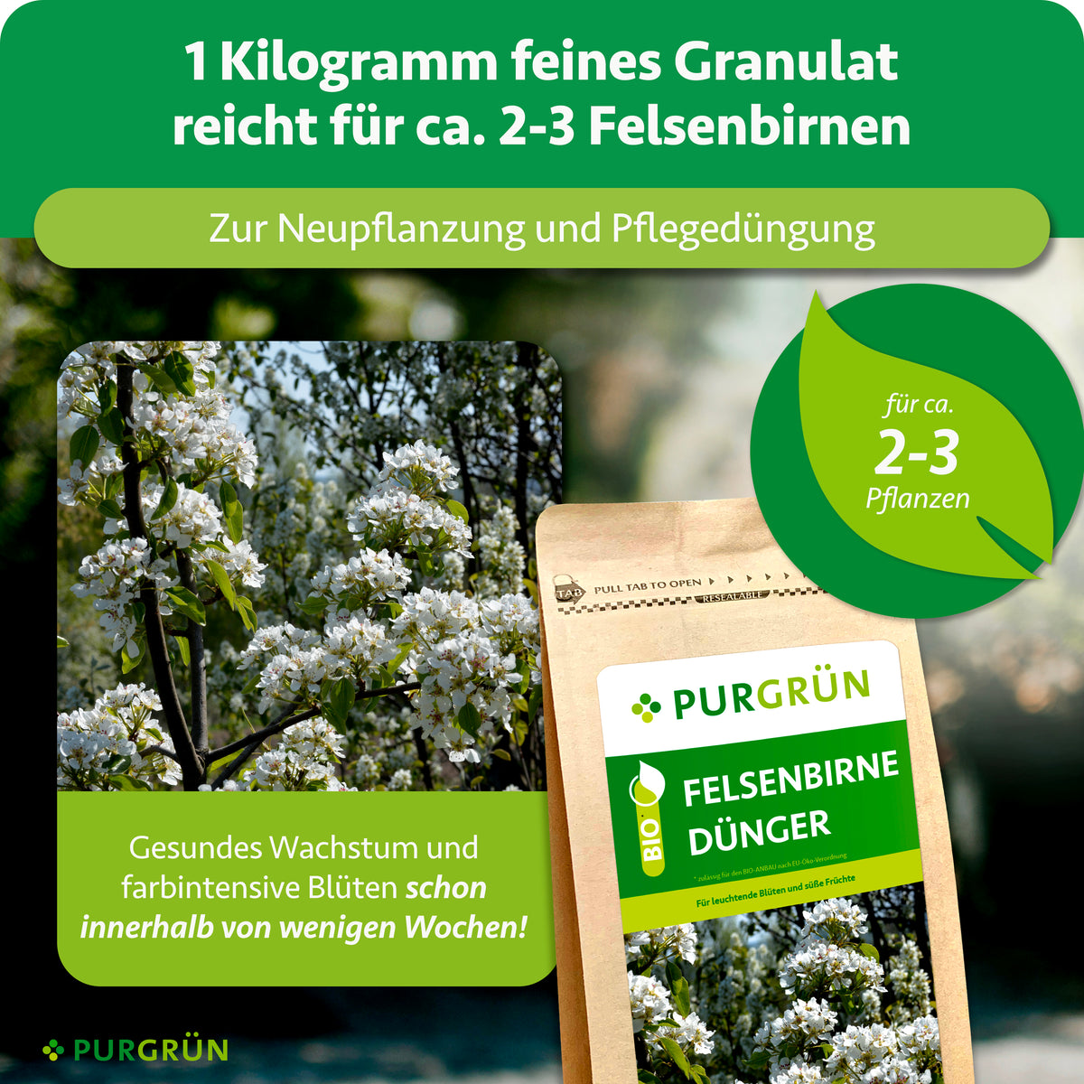 1 kg feines Granulat reicht für ca. 2–3 Felsenbirnen und eignet sich zur Neupflanzung und Pflegedüngung. Gesundes Wachstum und farbintensive Blüten innerhalb weniger Wochen.