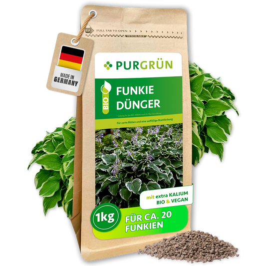 Purgrün Bio-Funkie-Dünger im 1-kg-Standbeutel mit Funkienblättern und feinem Granulat.
