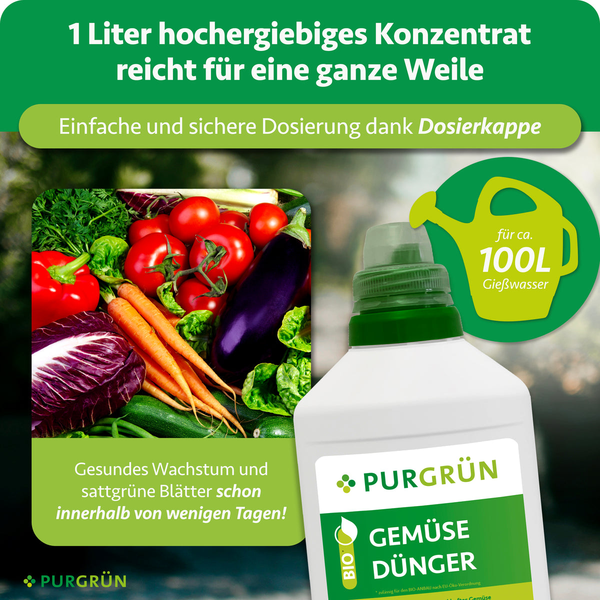 1 Liter Konzentrat reicht für ca. 100 Liter Gießwasser und lässt sich mit der Dosierkappe einfach dosieren. Die Darstellung nennt gesundes Wachstum und sattgrüne Blätter innerhalb weniger Tage.