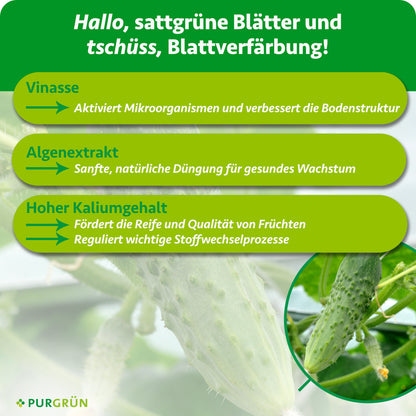 Vinasse aktiviert Mikroorganismen und verbessert die Bodenstruktur; Algenextrakt ermöglicht sanfte, natürliche Düngung. Ein hoher Kaliumgehalt fördert Reife und Fruchtqualität und reguliert wichtige Stoffwechselprozesse.
