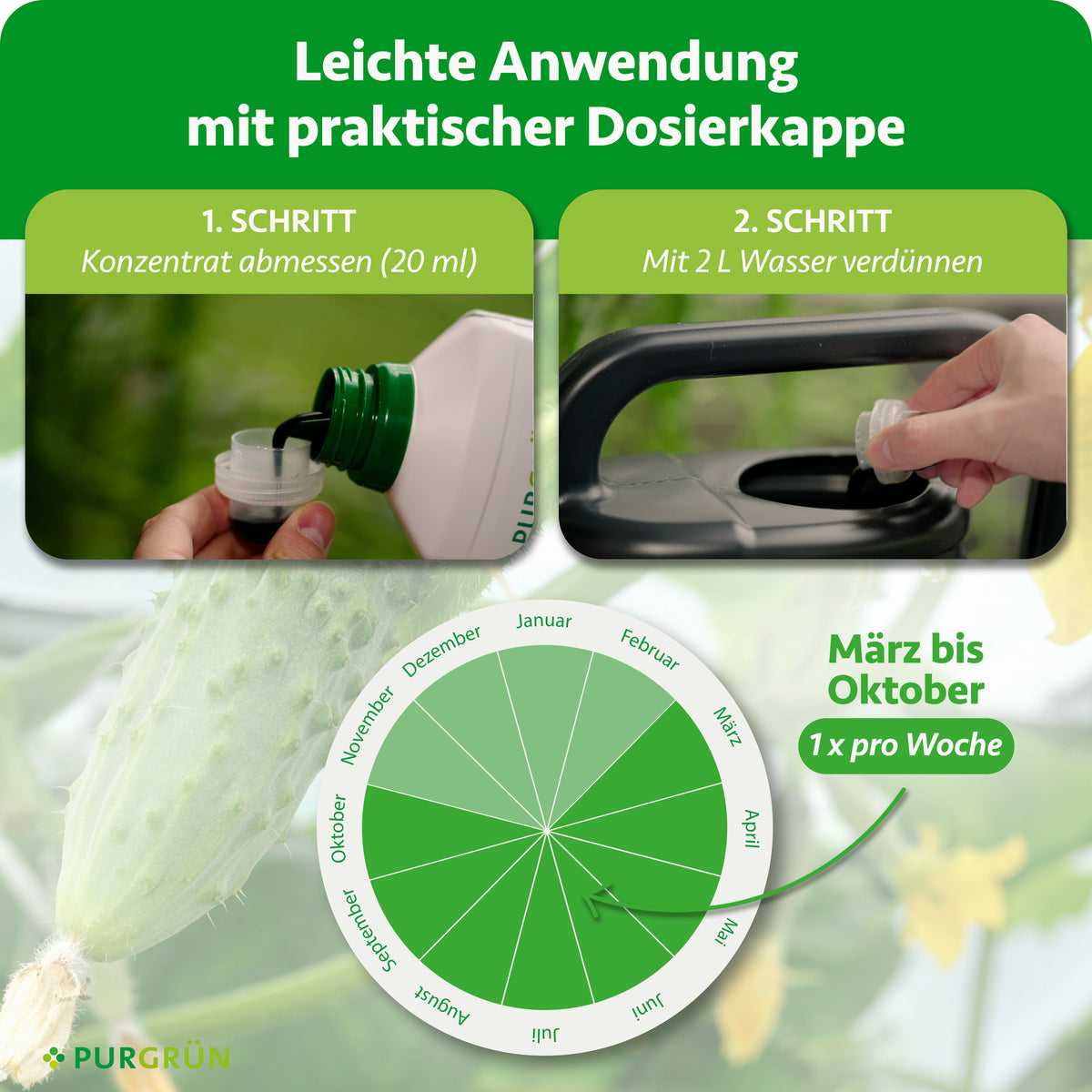 Anwendung: 20 ml Konzentrat mit 2 Litern Wasser verdünnen und von März bis Oktober einmal pro Woche düngen.