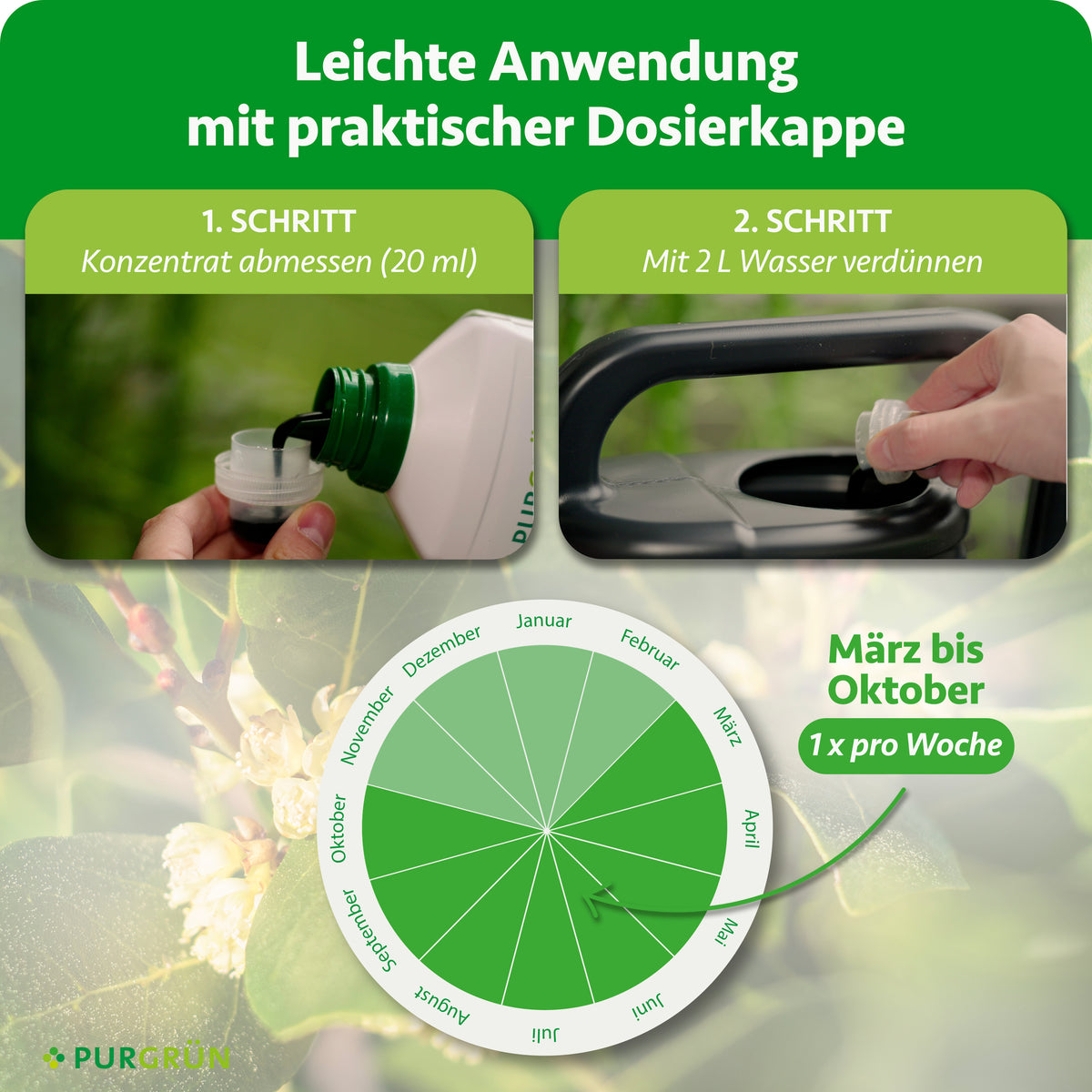 Anwendung: 20 ml Konzentrat abmessen, mit 2 L Wasser verdünnen und von März bis Oktober 1x pro Woche düngen.