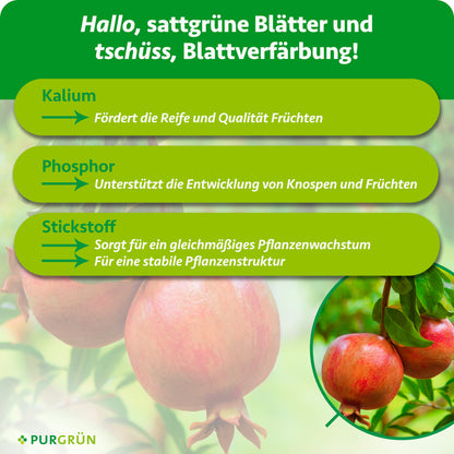 Kalium fördert Reife und Qualität der Früchte, Phosphor die Entwicklung von Knospen und Früchten, Stickstoff gleichmäßiges Wachstum und eine stabile Pflanzenstruktur.