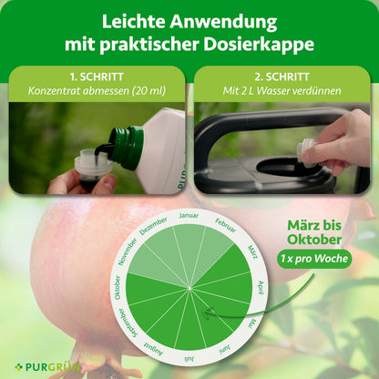 Anwendung: 20 ml Konzentrat abmessen, mit 2 Litern Wasser verdünnen und von März bis Oktober einmal pro Woche düngen.