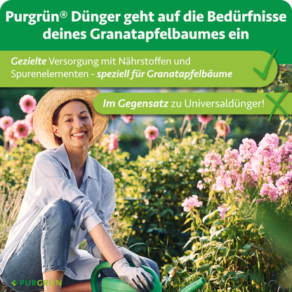 Speziell für Granatapfelbäume: gezielte Versorgung mit Nährstoffen und Spurenelementen statt Universaldünger.
