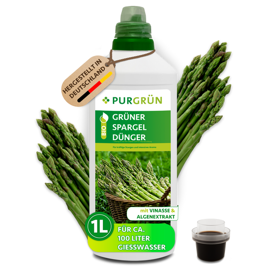 Purgrün Bio-Grüner-Spargel-Dünger in der 1-Liter-Flasche mit Dosierkappe, umgeben von grünen Spargelstangen.