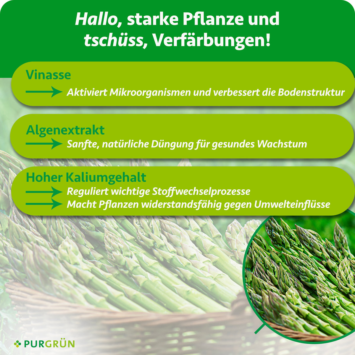 Vinasse aktiviert Mikroorganismen und verbessert die Bodenstruktur; Algenextrakt und hoher Kaliumgehalt unterstützen gesundes Wachstum und wichtige Stoffwechselprozesse.