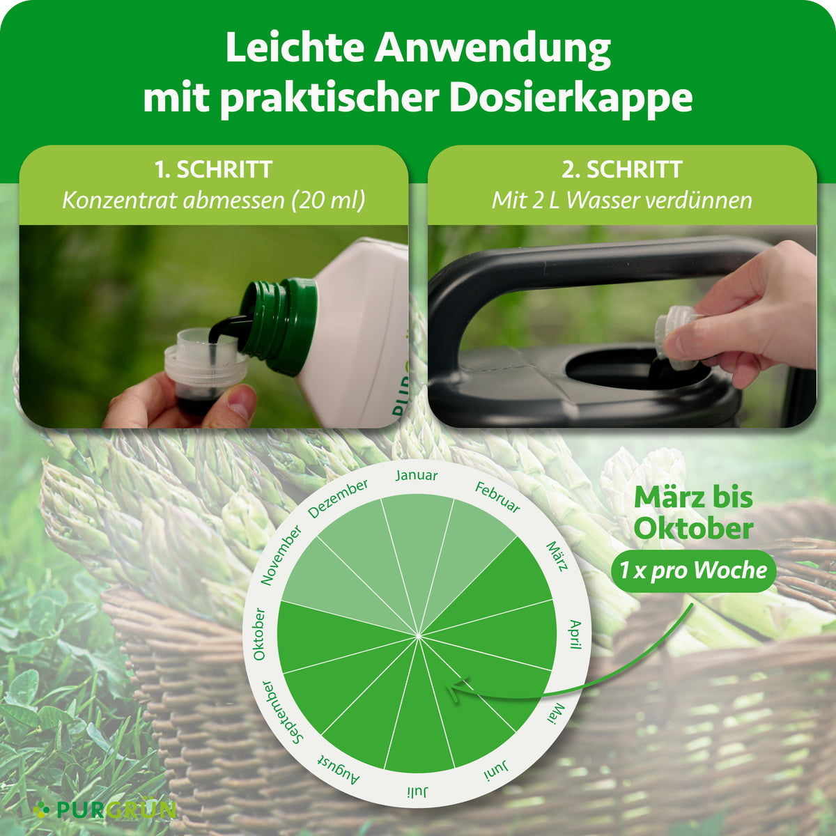 Anwendung von März bis Oktober 1x pro Woche: 20 ml Konzentrat abmessen und mit 2 L Wasser verdünnen.