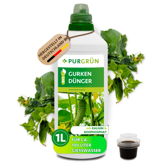 Purgrün Bio-Gurkendünger, 1-Liter-Flasche für ca. 100 Liter Gießwasser, mit Dosierkappe und Gurkenpflanzen.