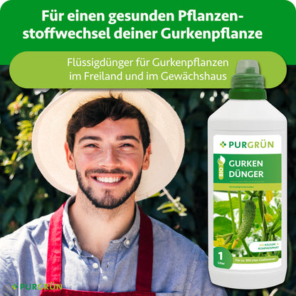 Gärtner neben einer 1-Liter-Flasche Purgrün Bio-Gurkendünger; Flüssigdünger für Gurken im Freiland und Gewächshaus.