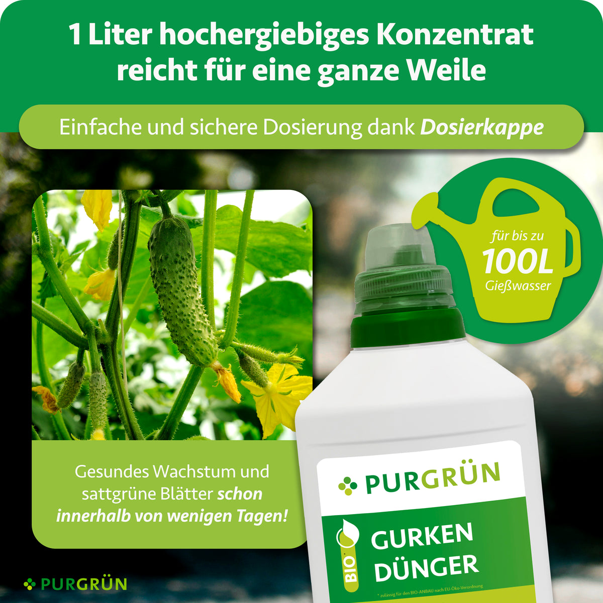 1 Liter Konzentrat mit Dosierkappe reicht für bis zu 100 Liter Gießwasser; beworben werden gesundes Wachstum und sattgrüne Blätter innerhalb weniger Tage.