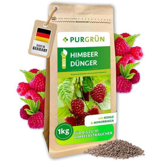 Purgrün Bio-Himbeerdünger im 1-kg-Beutel, mit Pflanzenkohle und Mykorrhiza, umgeben von Himbeeren und feinem Granulat.