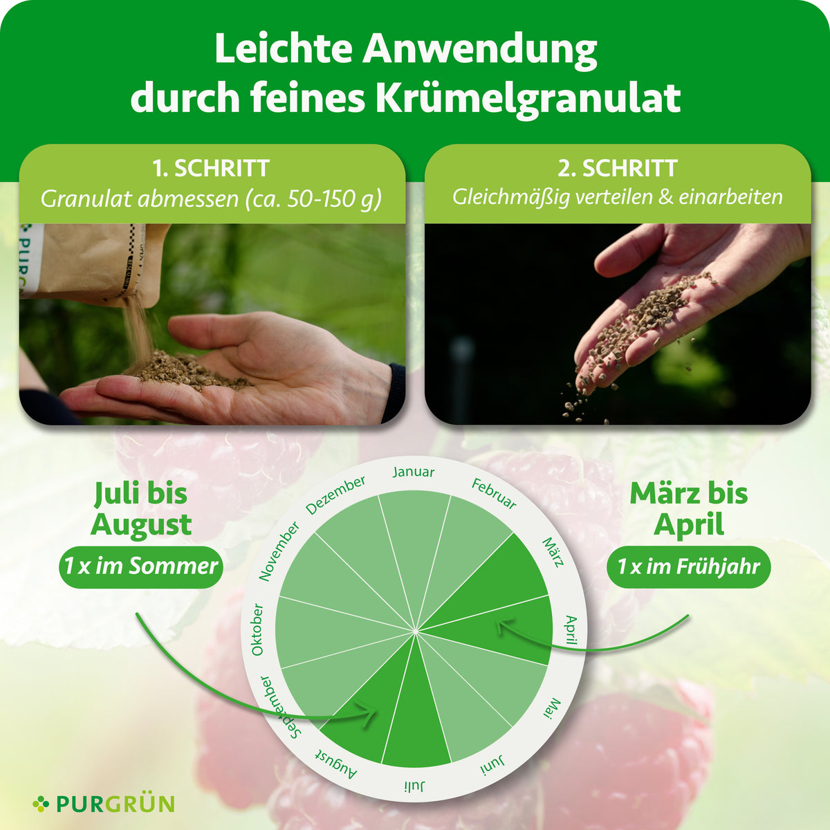 50–150 g Granulat abmessen, gleichmäßig verteilen und einarbeiten. Einmal von März bis April und einmal von Juli bis August düngen.