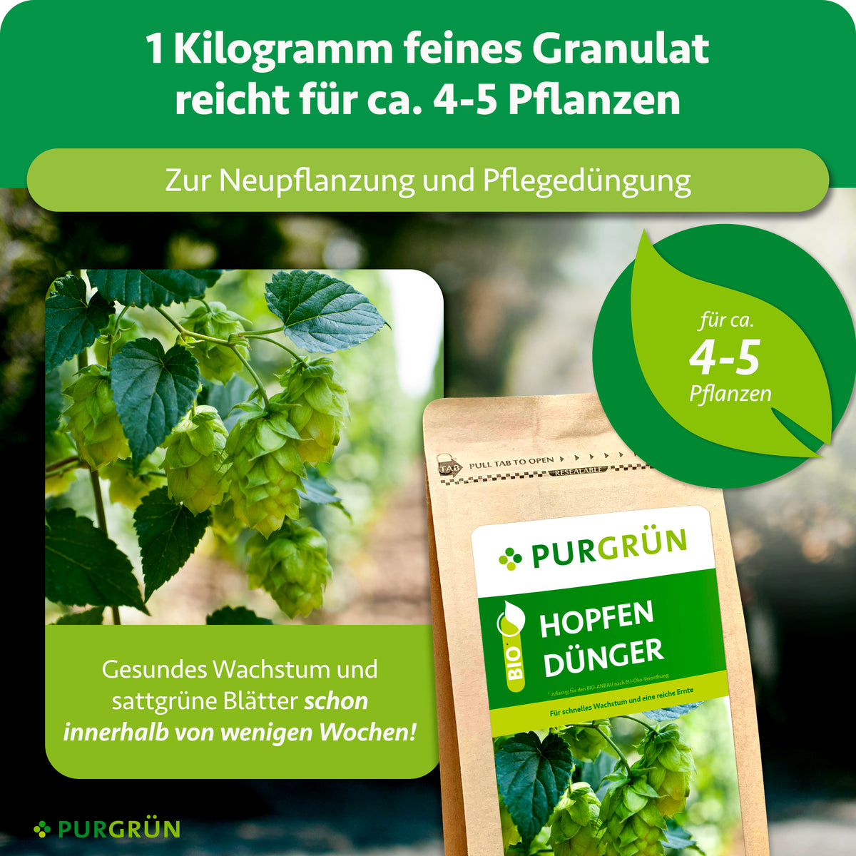 1 kg feines Granulat reicht zur Neupflanzung und Pflegedüngung für ca. 4–5 Hopfenpflanzen und fördert gesundes Wachstum sowie sattgrüne Blätter innerhalb weniger Wochen.