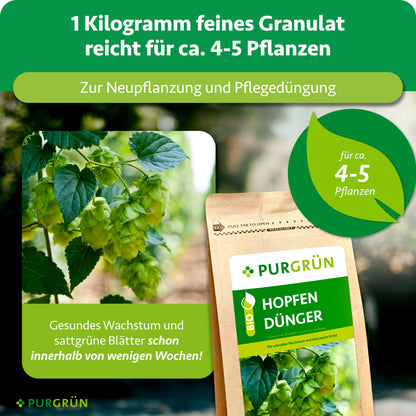 1 kg feines Granulat reicht zur Neupflanzung und Pflegedüngung für ca. 4–5 Hopfenpflanzen und fördert gesundes Wachstum sowie sattgrüne Blätter innerhalb weniger Wochen.
