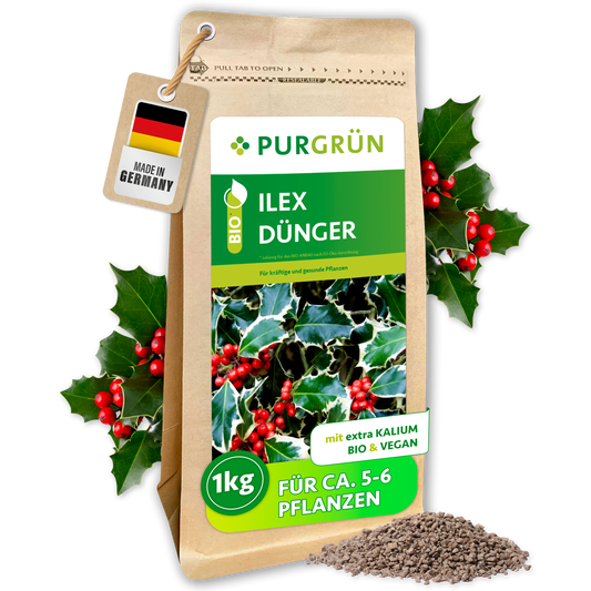 Purgrün Bio-Ilex-Dünger im 1-kg-Standbeutel mit Ilexblättern, roten Beeren und feinem Granulat.