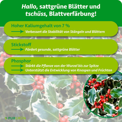 7 % Kalium stärkt Stängel und Blätter, Stickstoff fördert sattgrüne Blätter und Phosphor stärkt die Pflanze sowie die Entwicklung von Knospen und Früchten.