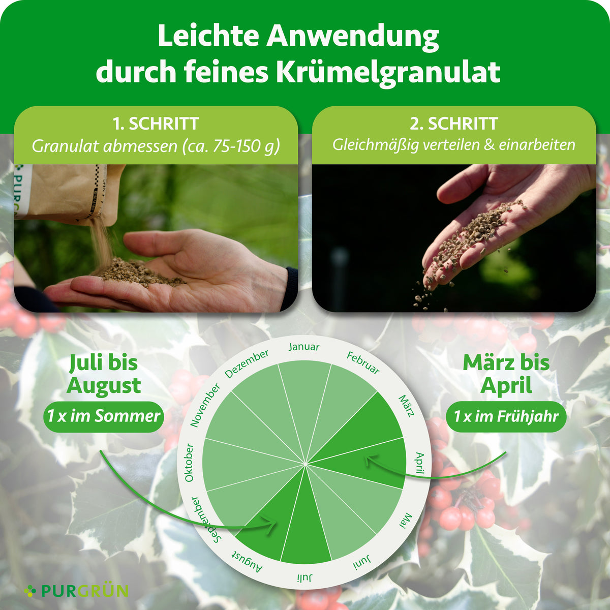 Je Pflanze ca. 75–150 g Granulat abmessen, gleichmäßig verteilen und einarbeiten. Einmal im Frühjahr von März bis April und einmal im Sommer von Juli bis August anwenden.