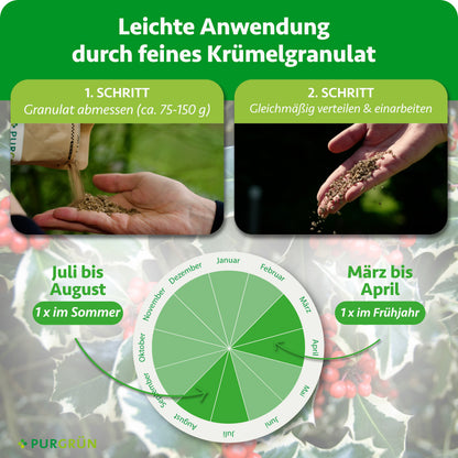 Je Pflanze ca. 75–150 g Granulat abmessen, gleichmäßig verteilen und einarbeiten. Einmal im Frühjahr von März bis April und einmal im Sommer von Juli bis August anwenden.