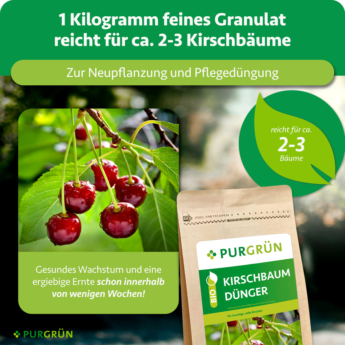 1 kg feines Granulat reicht für ca. 2–3 Kirschbäume und eignet sich zur Neupflanzung und Pflegedüngung.