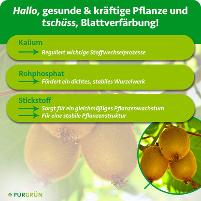 Kalium reguliert wichtige Stoffwechselprozesse, Rohphosphat fördert ein dichtes, stabiles Wurzelwerk und Stickstoff unterstützt gleichmäßiges Wachstum sowie eine stabile Pflanzenstruktur.