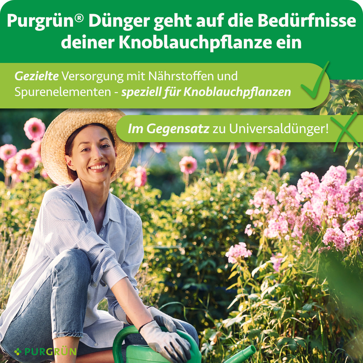 Speziell für Knoblauchpflanzen abgestimmter Dünger zur gezielten Versorgung mit Nährstoffen und Spurenelementen statt Universaldünger.