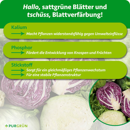 Kalium macht Pflanzen widerstandsfähig gegen Umwelteinflüsse, Phosphor fördert Knospen und Früchte, Stickstoff unterstützt gleichmäßiges Wachstum und eine stabile Pflanzenstruktur.