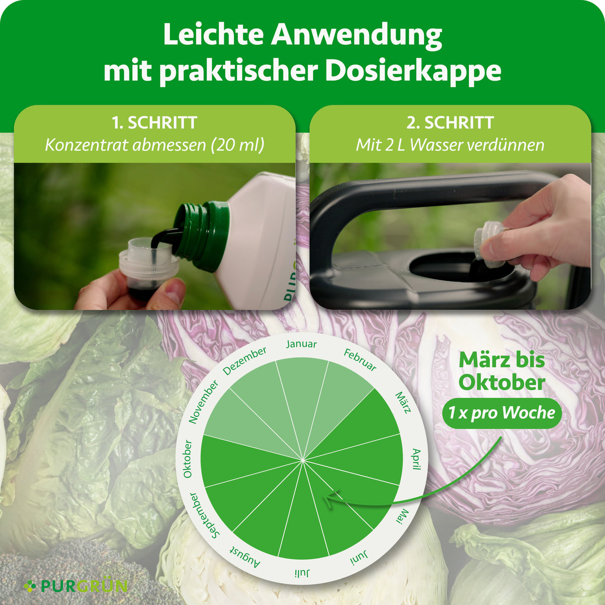 Anwendung: 20 ml Konzentrat abmessen und mit 2 L Wasser verdünnen. Von März bis Oktober 1× pro Woche anwenden.