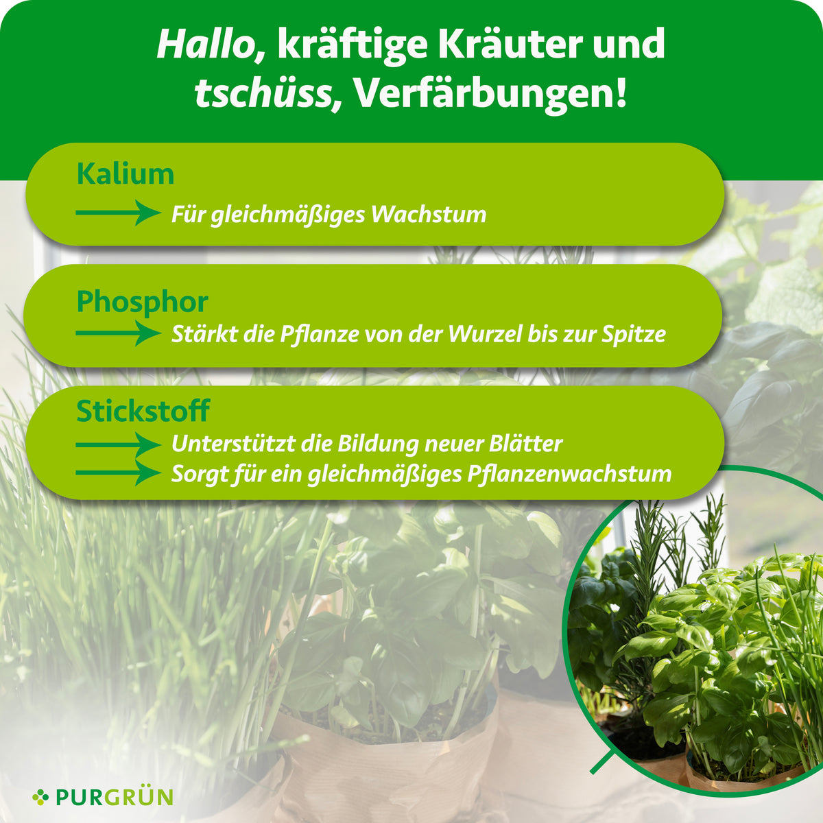 Nährstoffübersicht: Kalium für gleichmäßiges Wachstum, Phosphor stärkt die Pflanze von der Wurzel bis zur Spitze, Stickstoff unterstützt die Bildung neuer Blätter und gleichmäßiges Pflanzenwachstum.