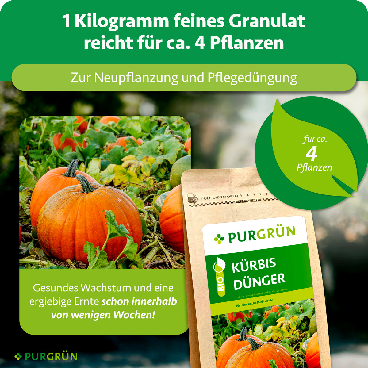 1 kg feines Granulat reicht für ca. 4 Pflanzen und eignet sich zur Neupflanzung und Pflegedüngung.