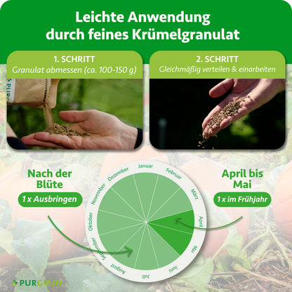 Ca. 100–150 g Granulat abmessen, gleichmäßig verteilen und einarbeiten. Einmal von April bis Mai und einmal nach der Blüte ausbringen.