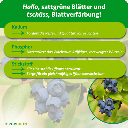 Kalium fördert Reife und Fruchtqualität, Phosphor das Wachstum kräftiger, verzweigter Wurzeln und Stickstoff eine stabile Pflanzenstruktur sowie gleichmäßiges Wachstum.