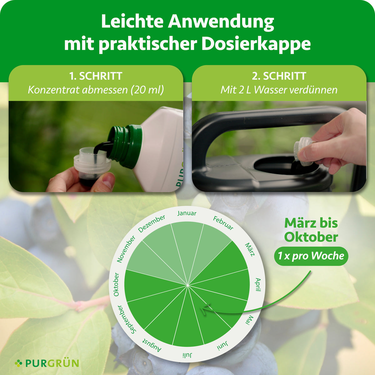 Anwendung von März bis Oktober einmal pro Woche: 20 ml Konzentrat abmessen und mit 2 Litern Wasser verdünnen.