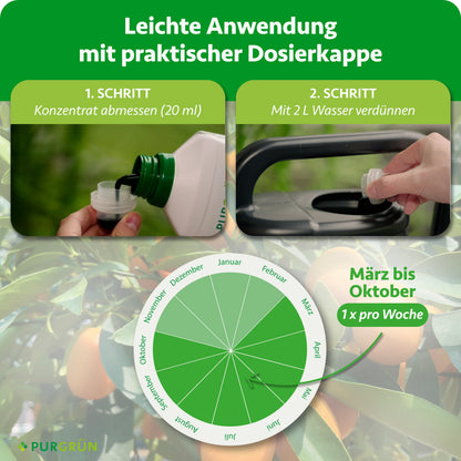 Anwendung: 20 ml Konzentrat abmessen, mit 2 Litern Wasser verdünnen und von März bis Oktober einmal pro Woche verwenden.