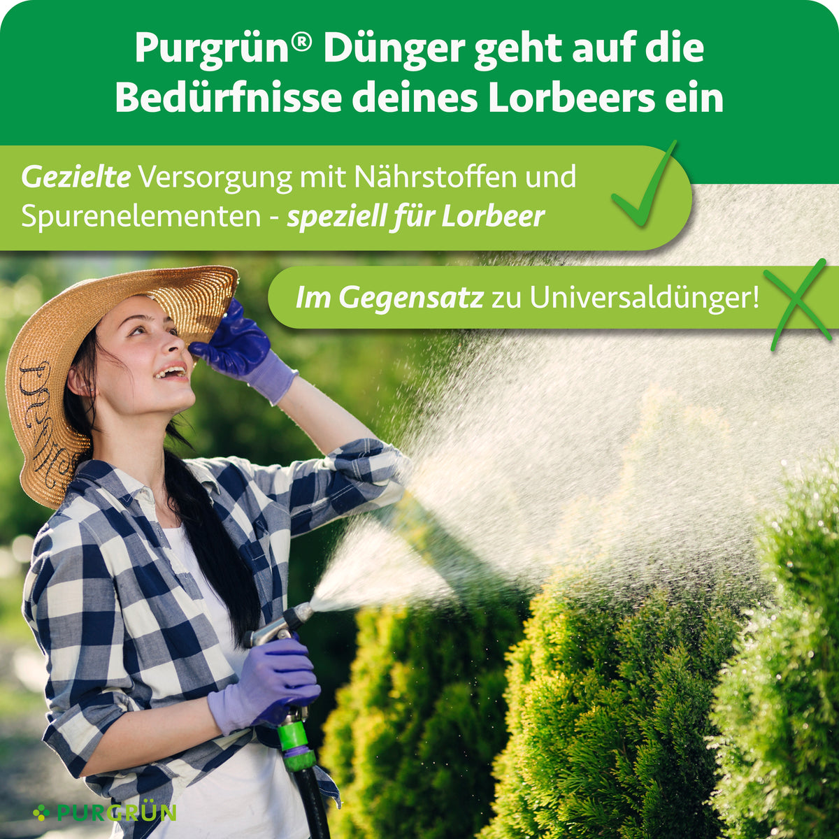 Gezielte Versorgung mit Nährstoffen und Spurenelementen speziell für Lorbeer statt Universaldünger.