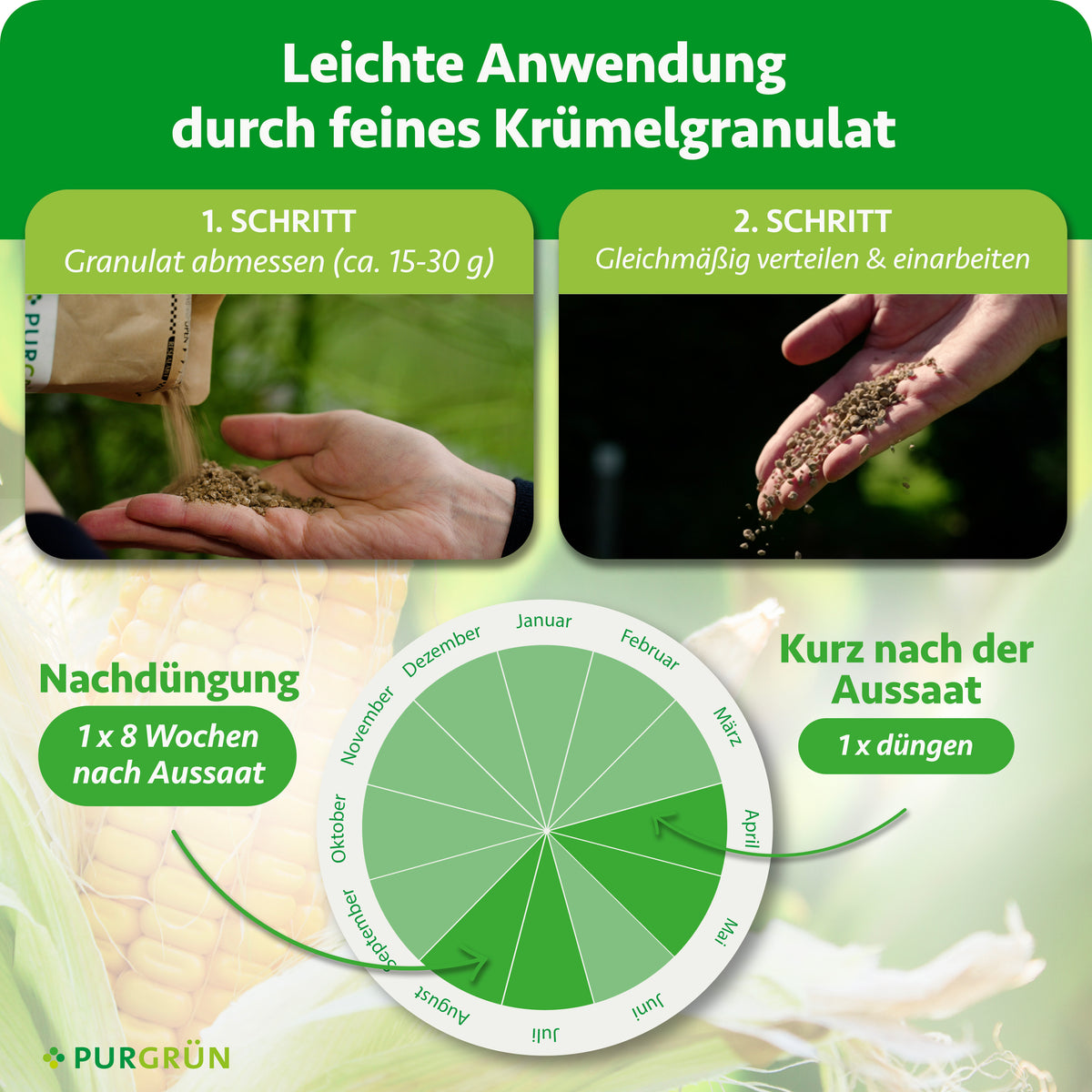 Ca. 15–30 g Granulat abmessen, gleichmäßig verteilen und einarbeiten. Kurz nach der Aussaat einmal düngen und 8 Wochen danach einmal nachdüngen.