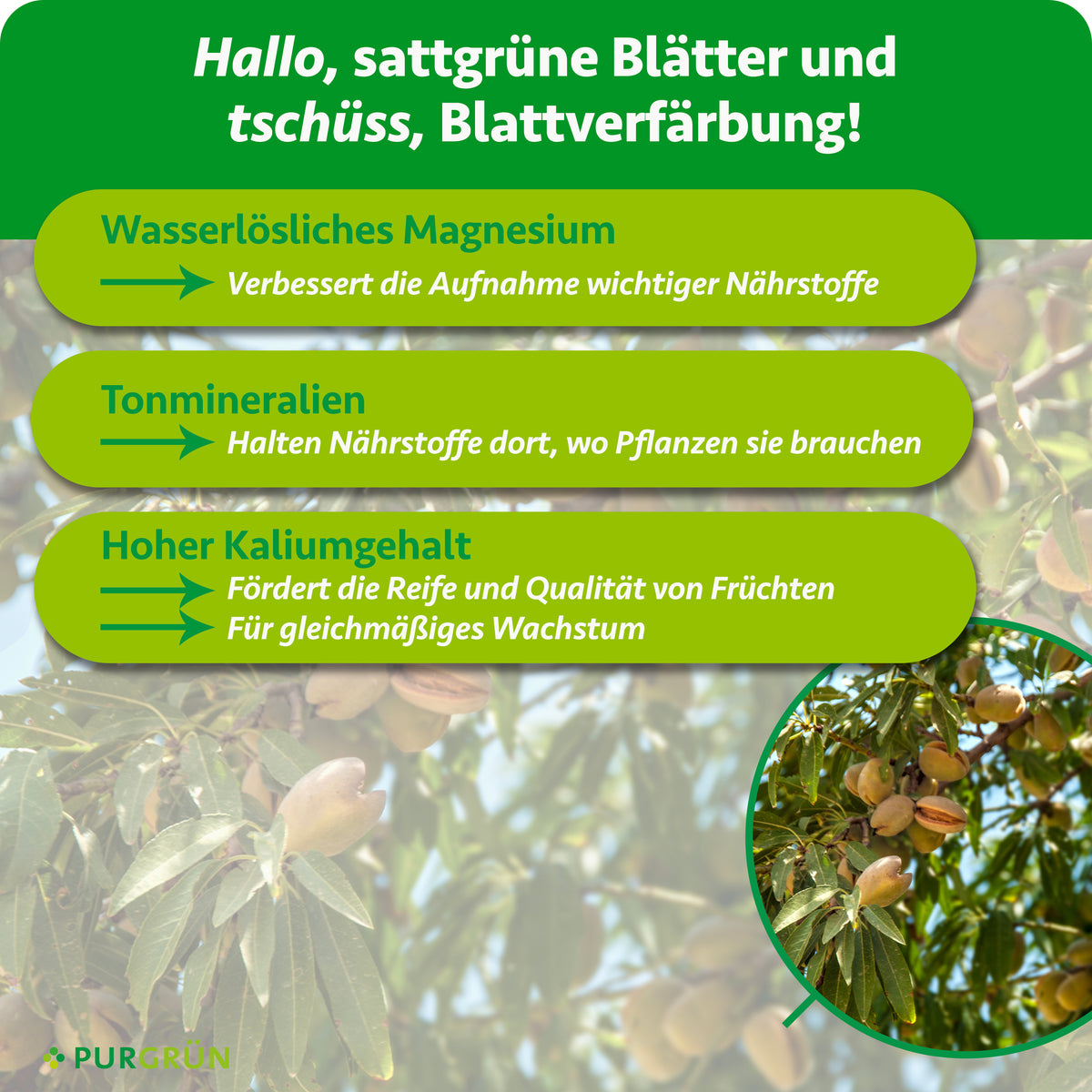 Wasserlösliches Magnesium verbessert die Nährstoffaufnahme, Tonmineralien halten Nährstoffe dort, wo Pflanzen sie brauchen, und Kalium fördert Fruchtreife, Qualität und gleichmäßiges Wachstum.