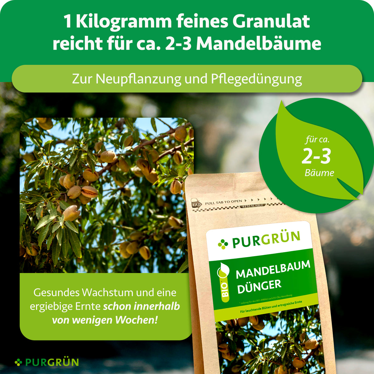 1 kg feines Granulat reicht für ca. 2–3 Mandelbäume und eignet sich zur Neupflanzung sowie Pflegedüngung.