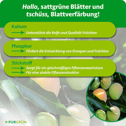 Kalium unterstützt Reife und Qualität der Früchte, Phosphor fördert die Entwicklung von Knospen und Früchten, Stickstoff sorgt für gleichmäßiges Wachstum und eine stabile Pflanzenstruktur.