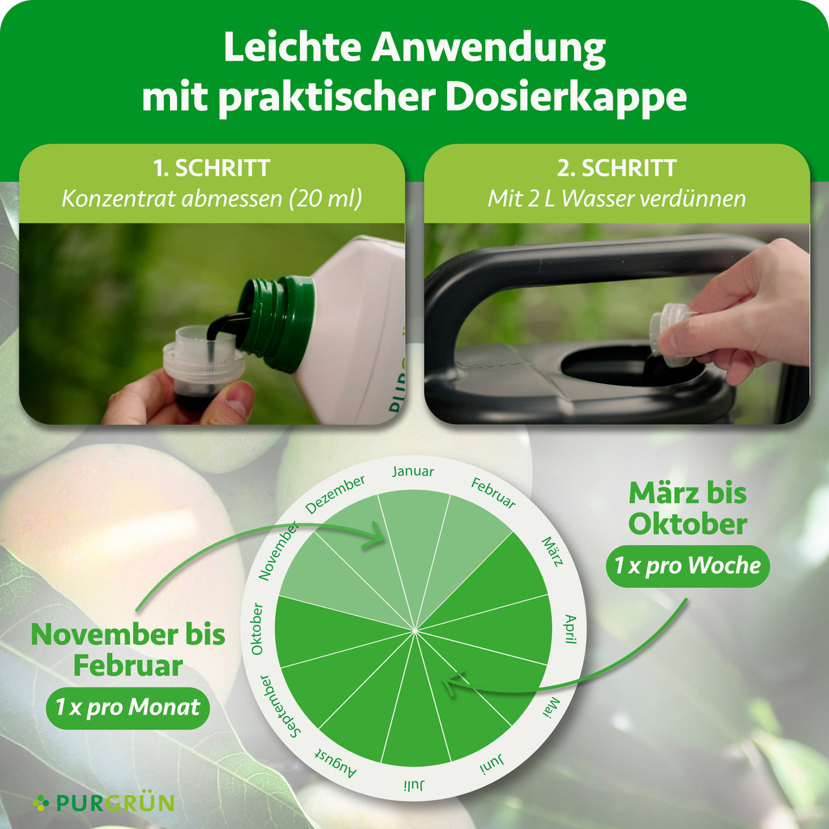 20 ml Konzentrat abmessen und mit 2 Litern Wasser verdünnen. März bis Oktober einmal pro Woche, November bis Februar einmal pro Monat anwenden.