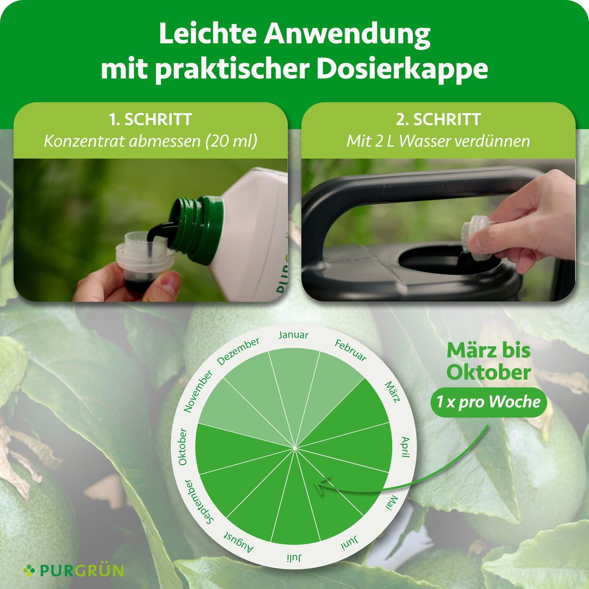 Anwendung von März bis Oktober einmal pro Woche: 20 ml Konzentrat abmessen und mit 2 Litern Wasser verdünnen.