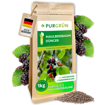 Purgrün Bio-Maulbeerbaum-Dünger im 1-kg-Standbeutel, mit Magnesium und Tonmineralien; ausreichend für ca. 2–3 Maulbeerbäume.