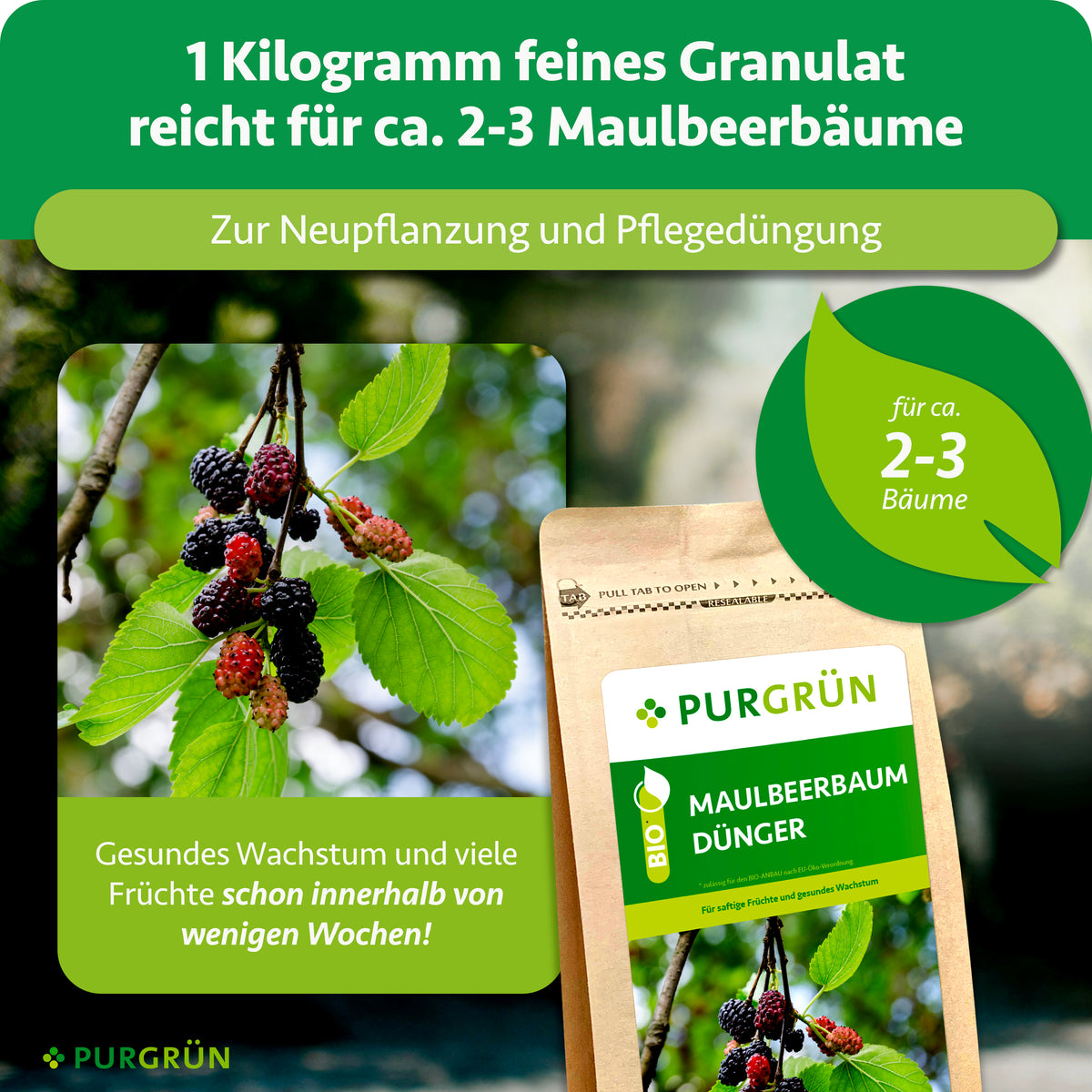 1 kg feines Granulat reicht für ca. 2–3 Maulbeerbäume und eignet sich zur Neupflanzung sowie Pflegedüngung.